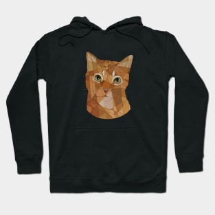 Orange Tabby Hoodie